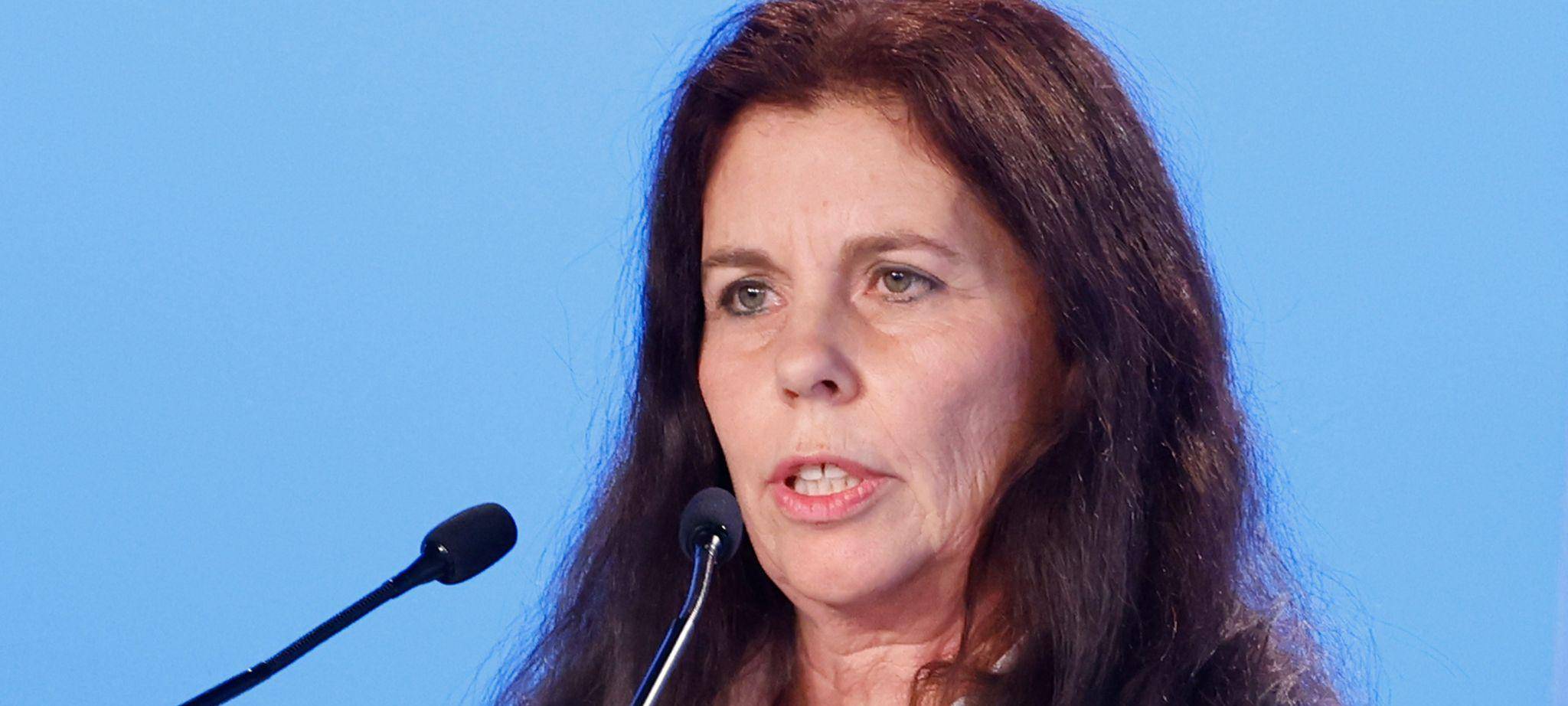 AfD Europawahlversammlung