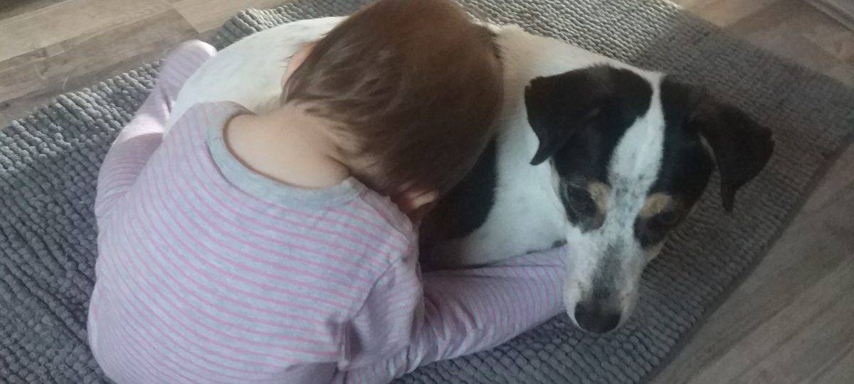 Therapiehund Greta hilft in der Meerbuscher Mauritiusklinik