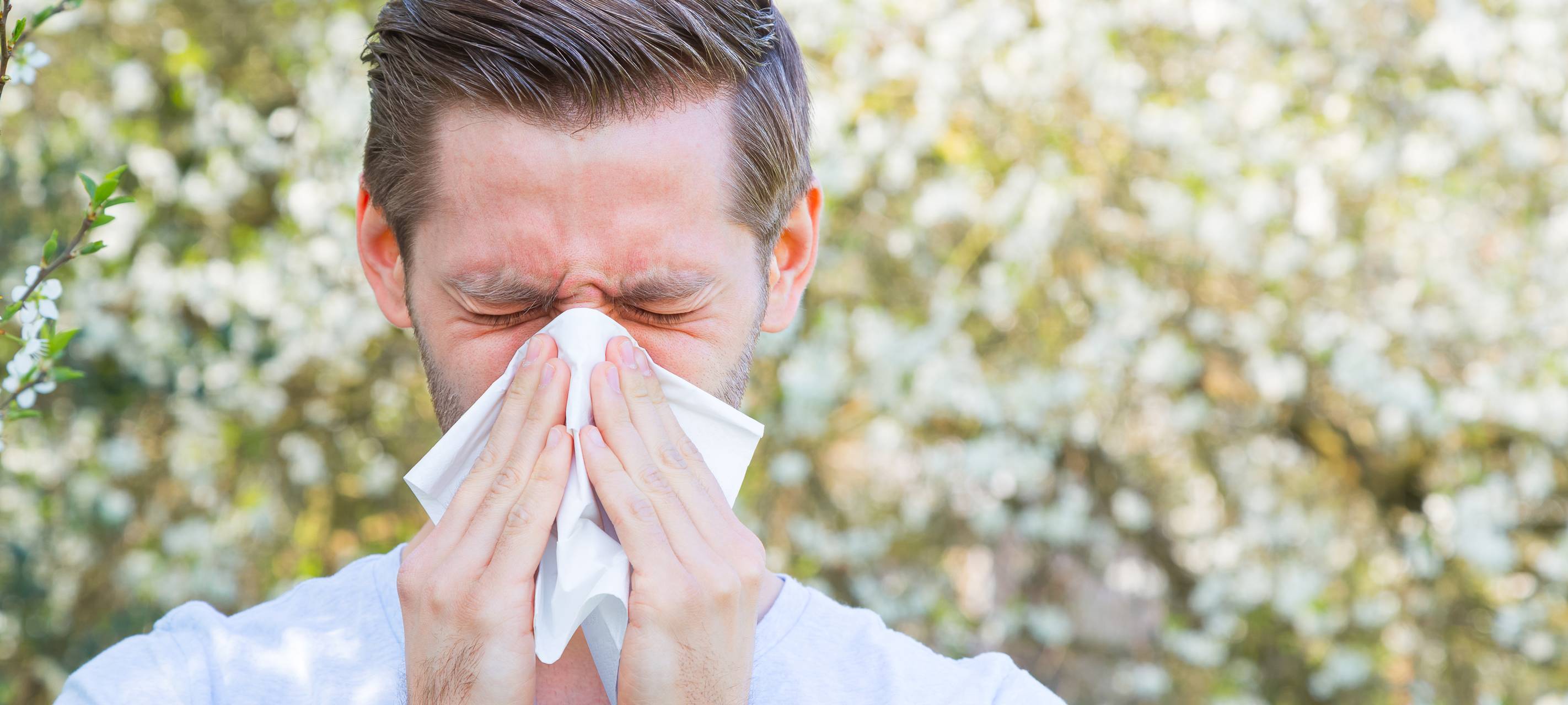 Die Pollensaison startet - Tipps für Allergiker