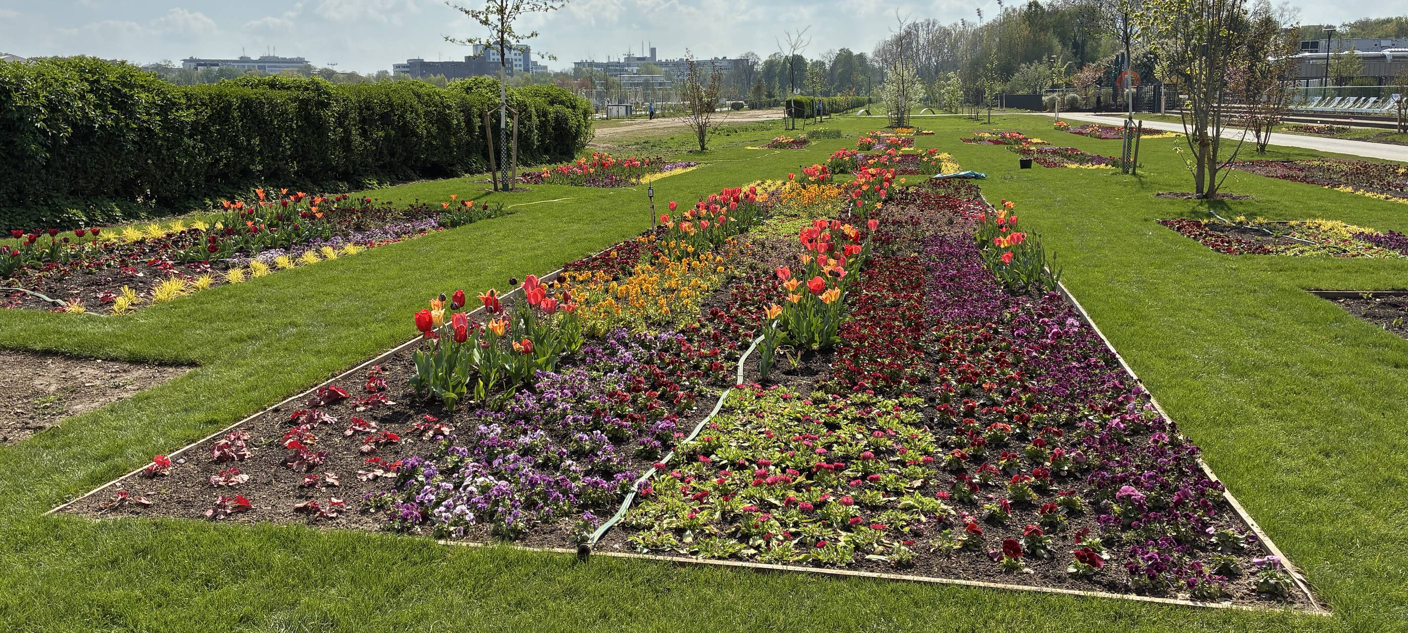 Streetfood-Festival zur Eröffnung der Landesgartenschau
