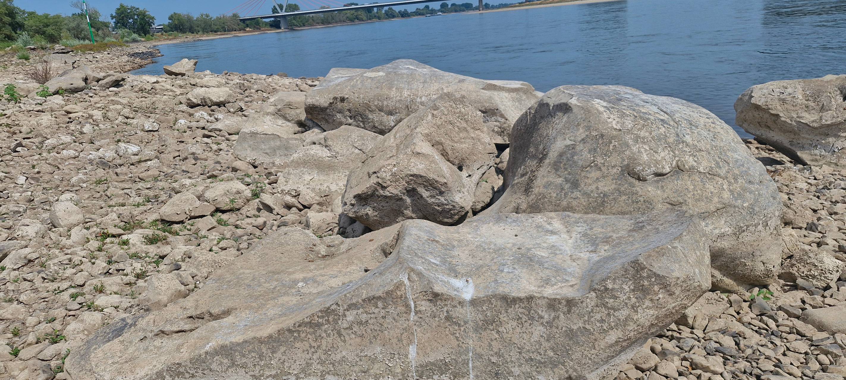Niedrigwasser im Rhein: Belastet Wirtschaft in der Region