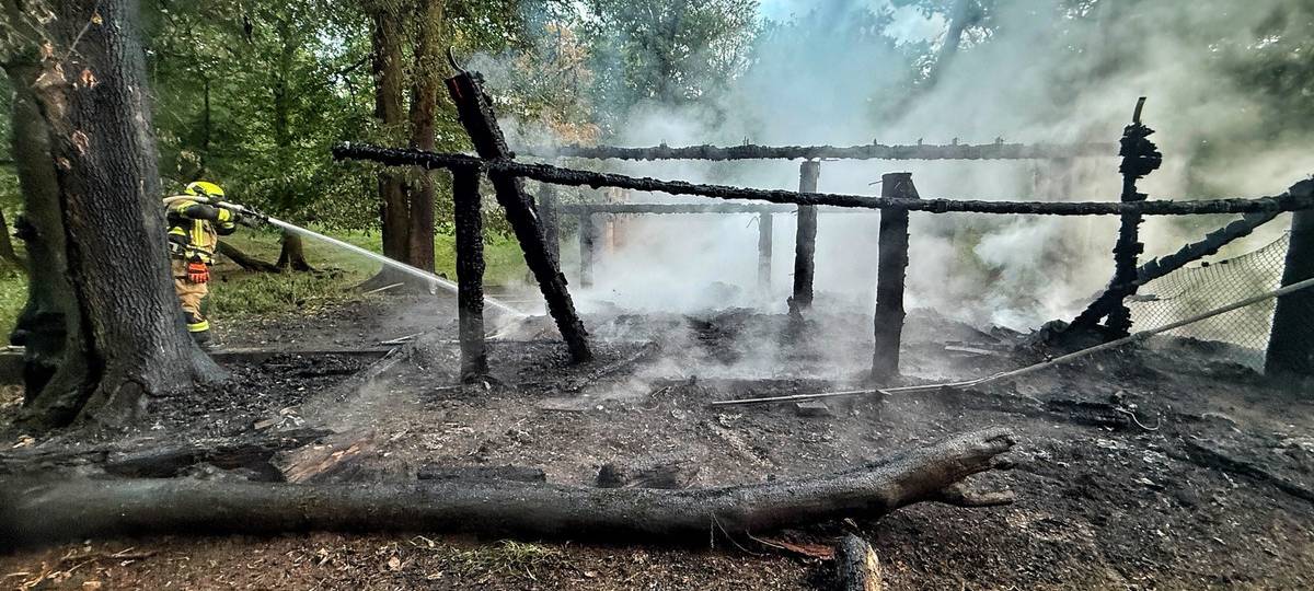 Holzunterstand im Damwildgehege in Selikum