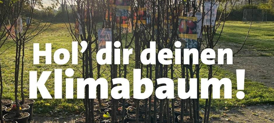 Rhein-Kreis Neuss verschenkt Bäume für die Umwelt