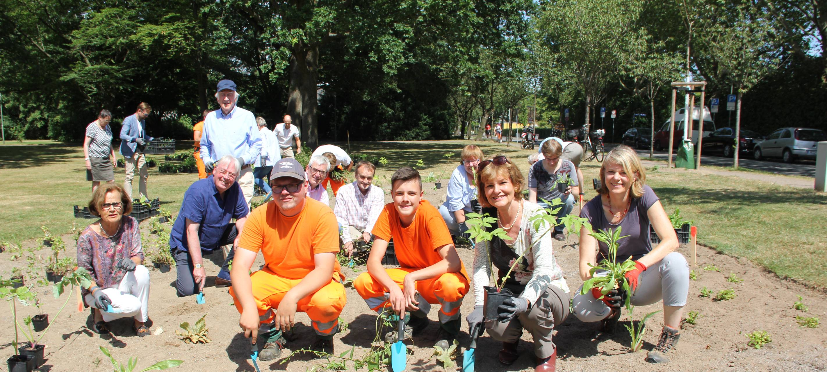 Wildstauden für Insektenschutz