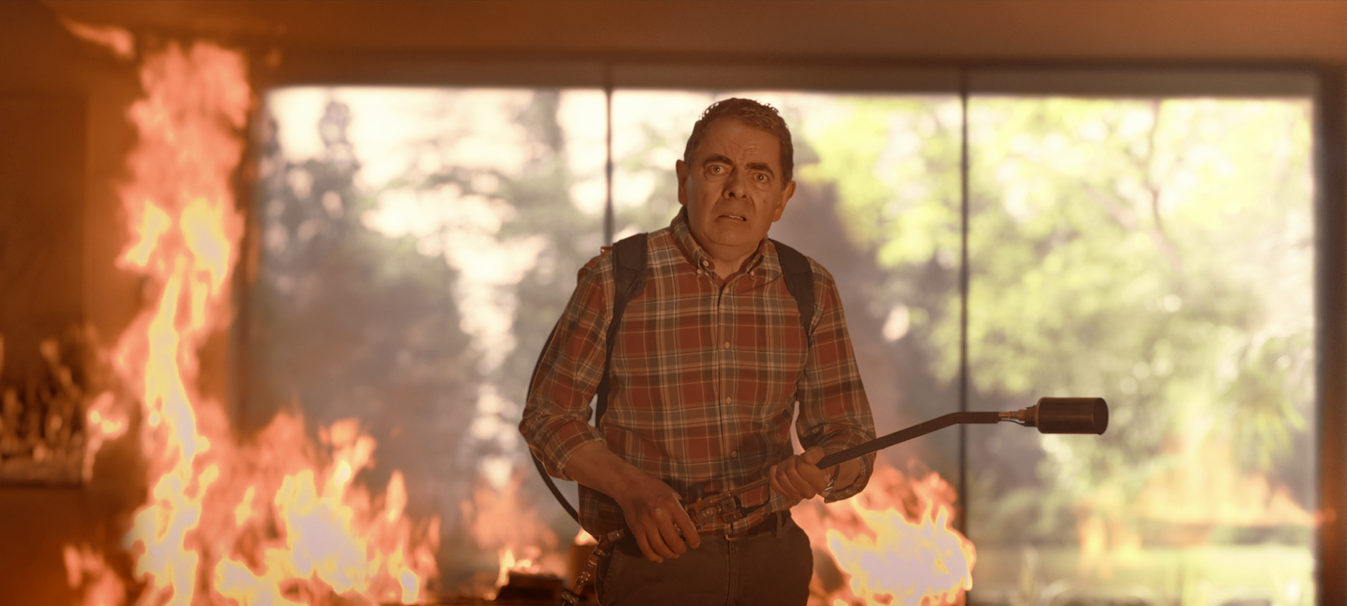 Das Bienen-Inferno nimmt seinen Lauf.