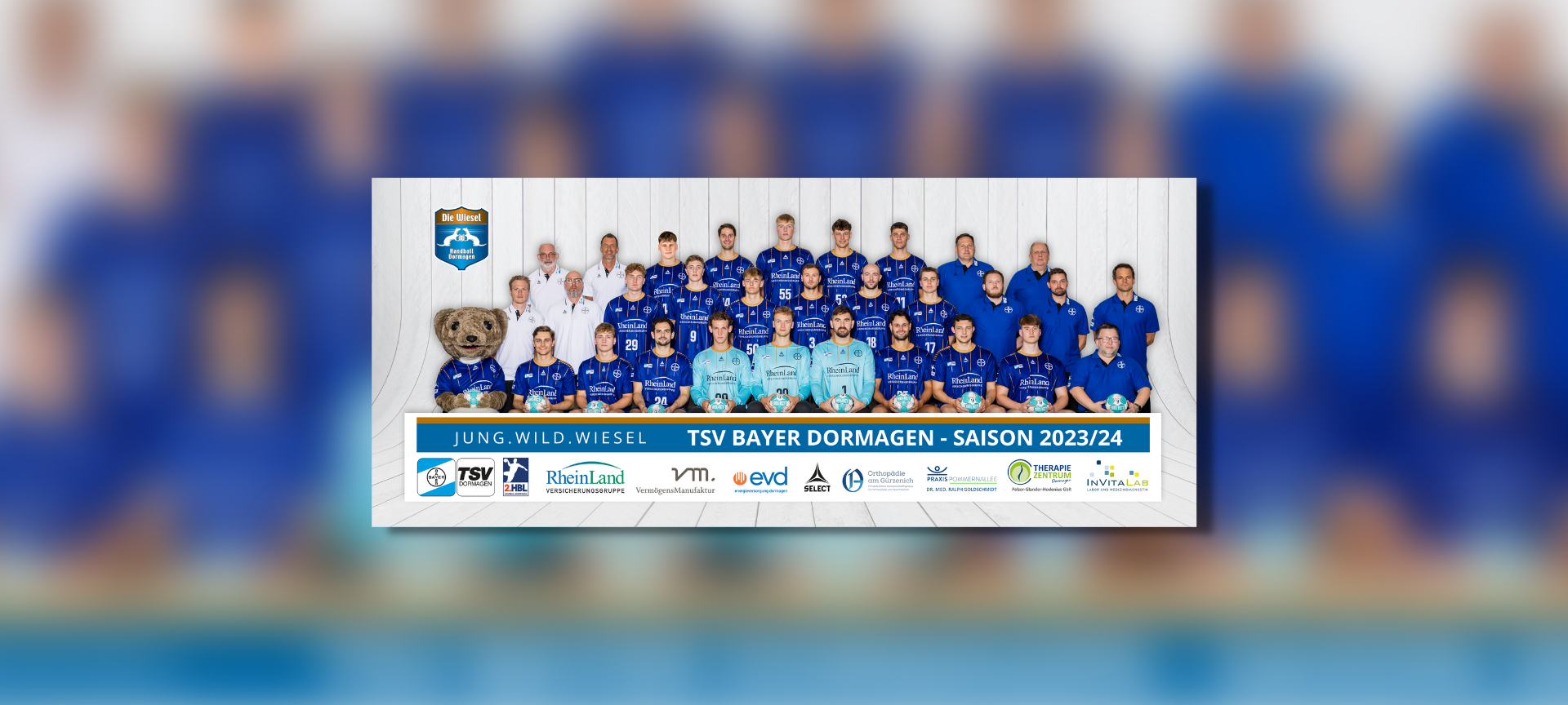 TSV Bayer Dormagen wendet Insolvenz ab