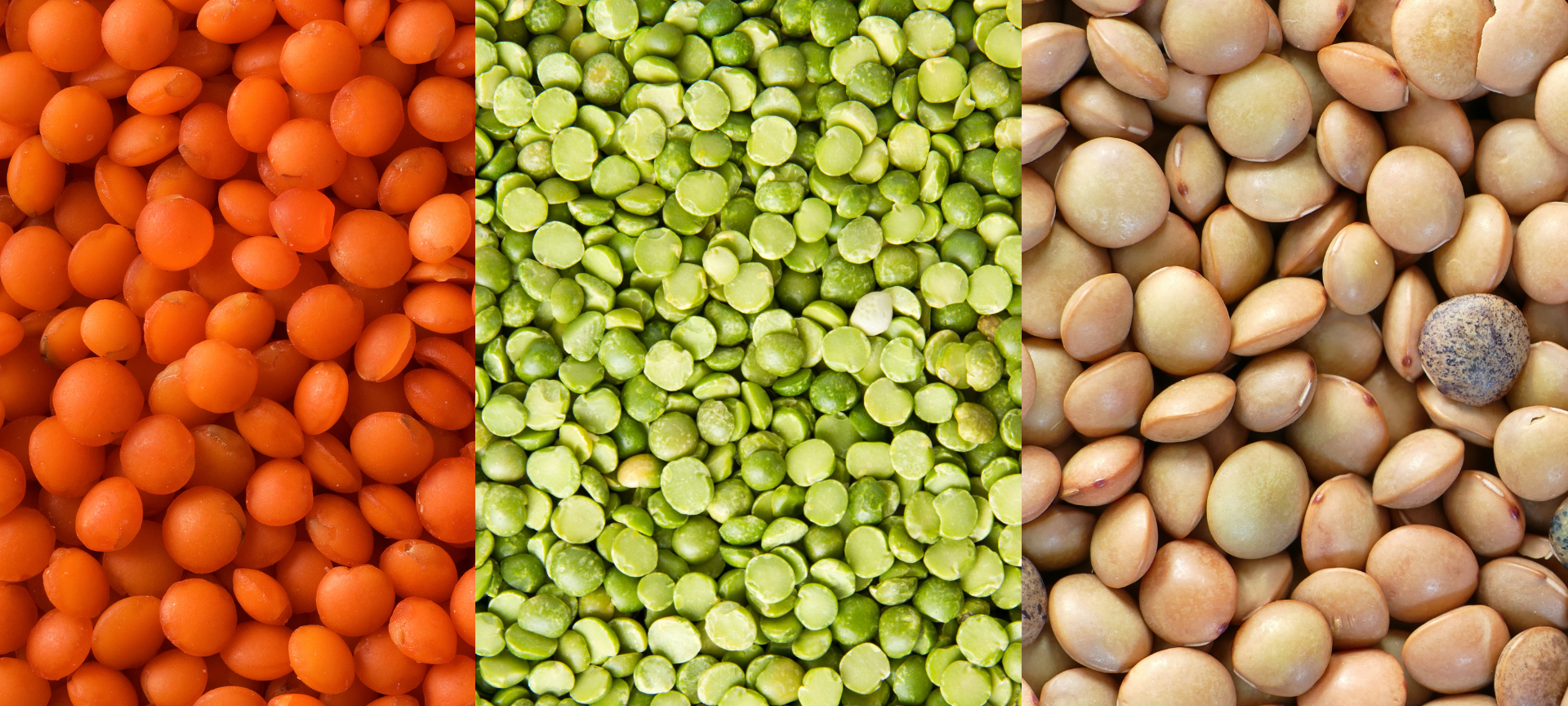 Linsen sind Super(food)