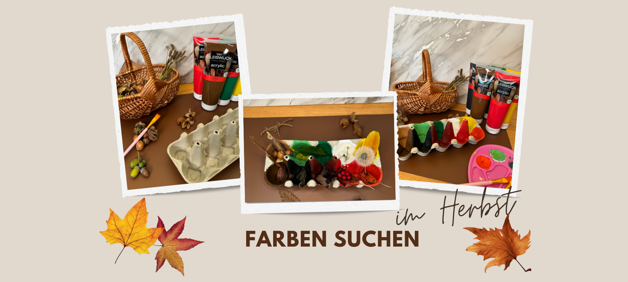 bunter Eierkarton zum Farben suchen in der Natur / im Herbst