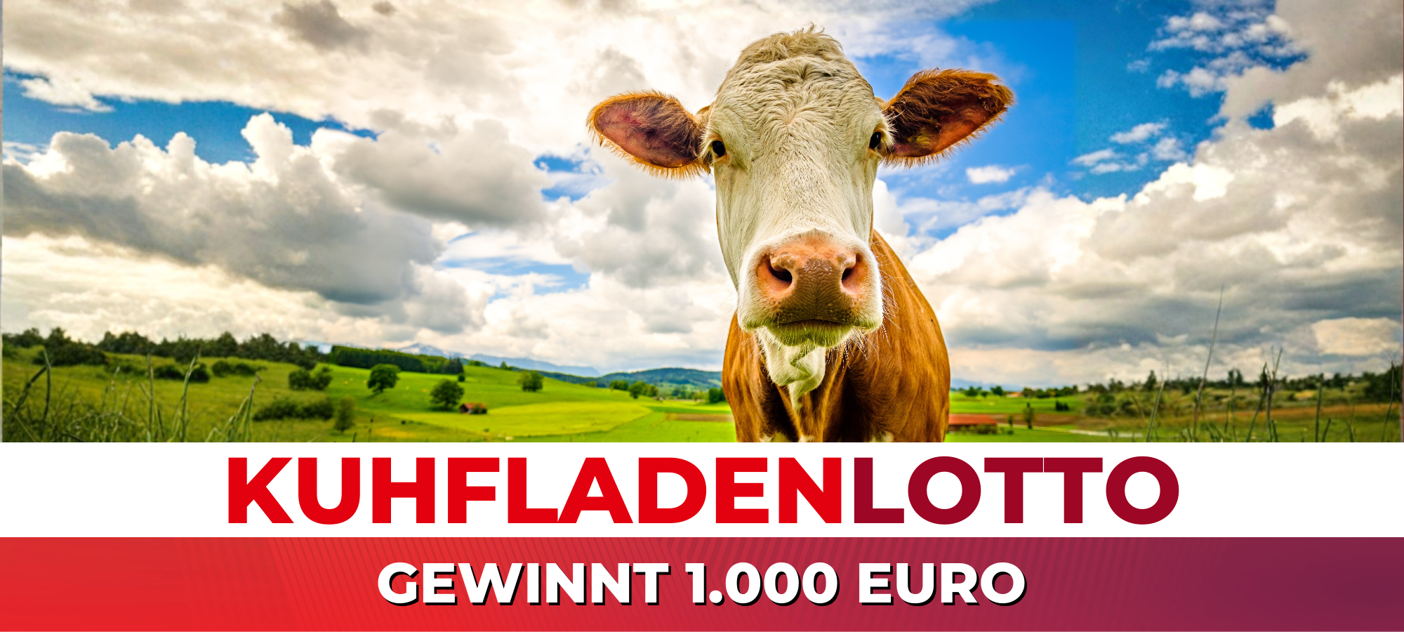 Das NE-WS 89.4-Kuhfladenlotto kommt zurück